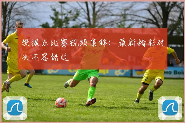 樊振东比赛视频集锦:最新精彩对决不容错过